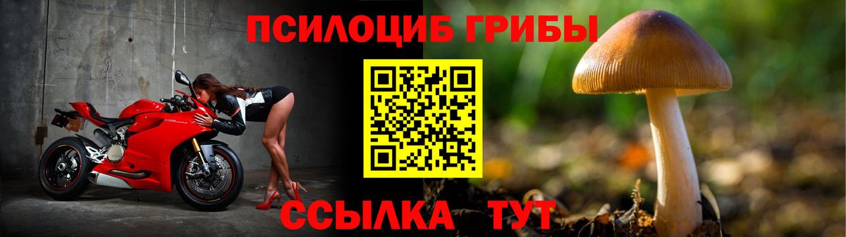 Галлюциногенные грибы Psilocybine cubensis  Вход с VPN  Дивногорск 