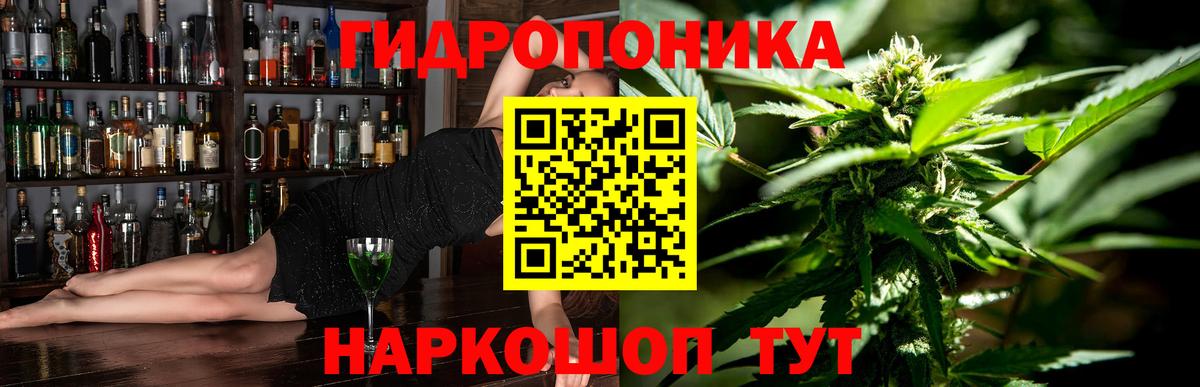 Бошки марихуана конопля  Конопля конопля  Вход с VPN  Дивногорск  Канабис VHQ 